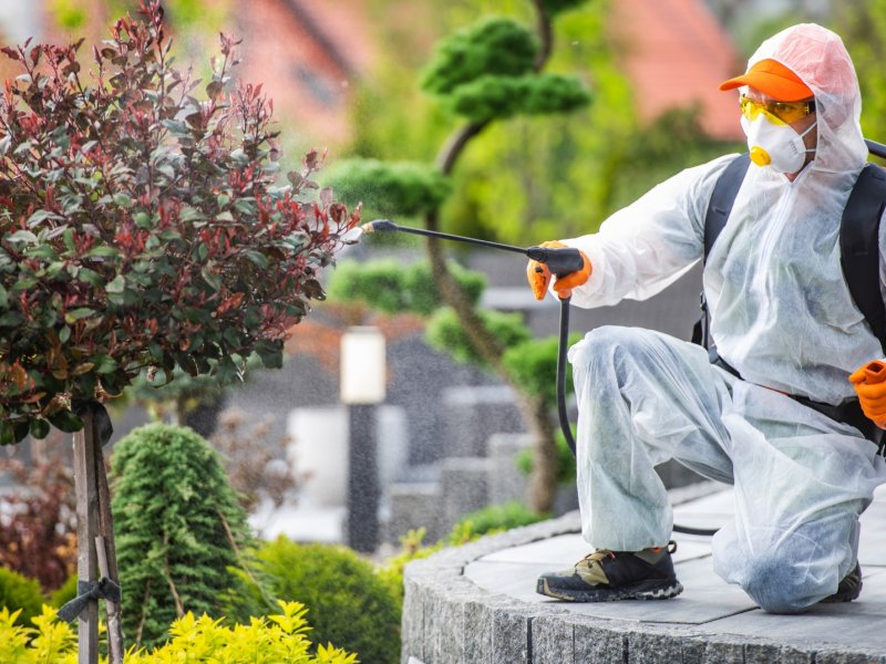 Kuşadası Haşere İlaçlama